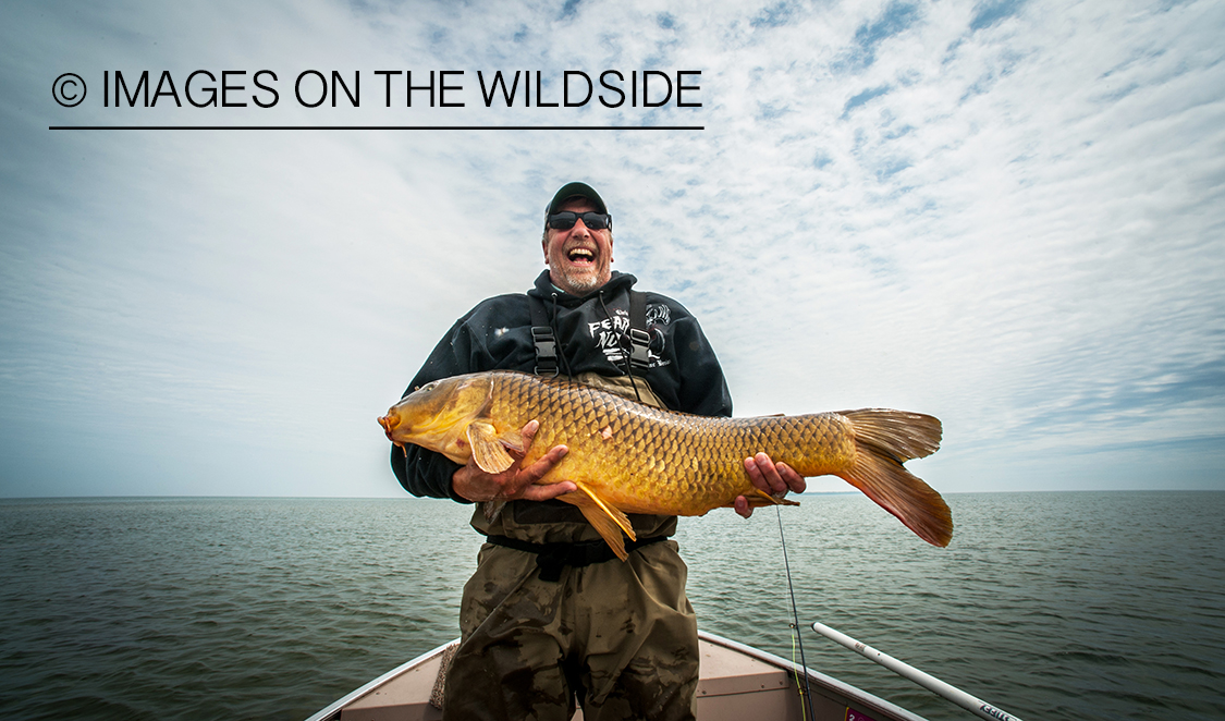 Flyfisherman with carp.