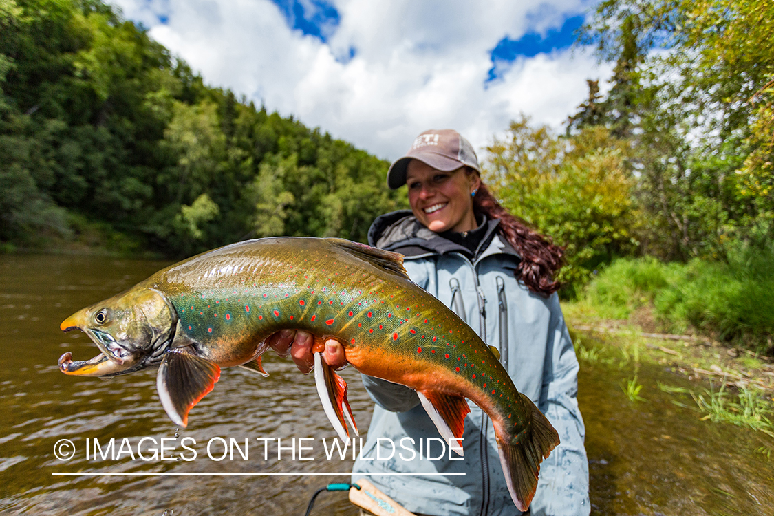 Flyfisher Camille Egdorf with Dolly Varden. Nushagak river, Alaska. 