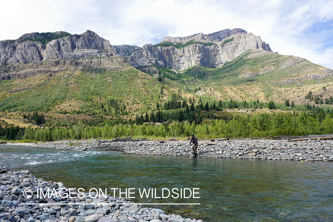 Flyfisherman casting on stream.