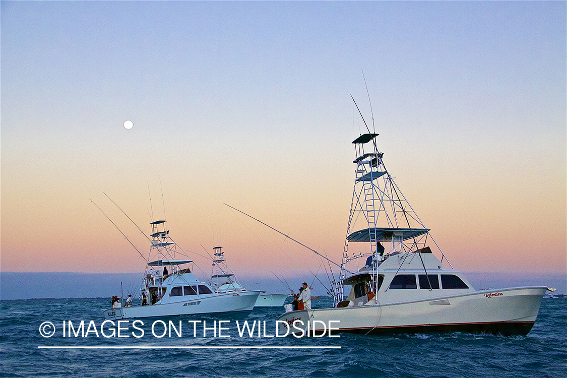 Deep sea fishing boats at sunset.