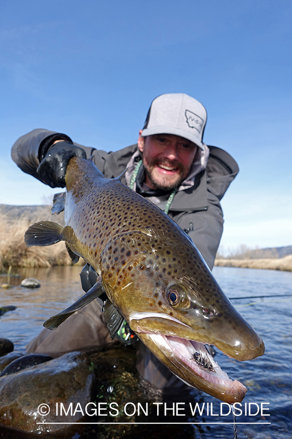 Flyfisherman with brown trout.