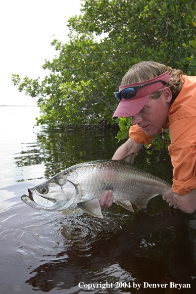 Flyfisherman releasing tarpon 