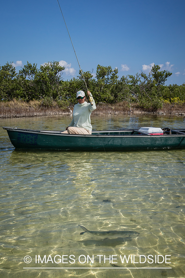 Flyfishing woman fighting fish from boat.