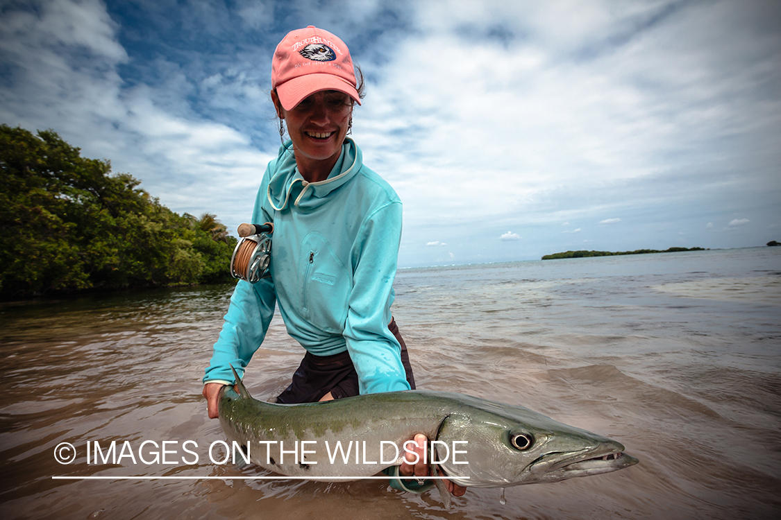 Flyfishing woman releasing barracuda.