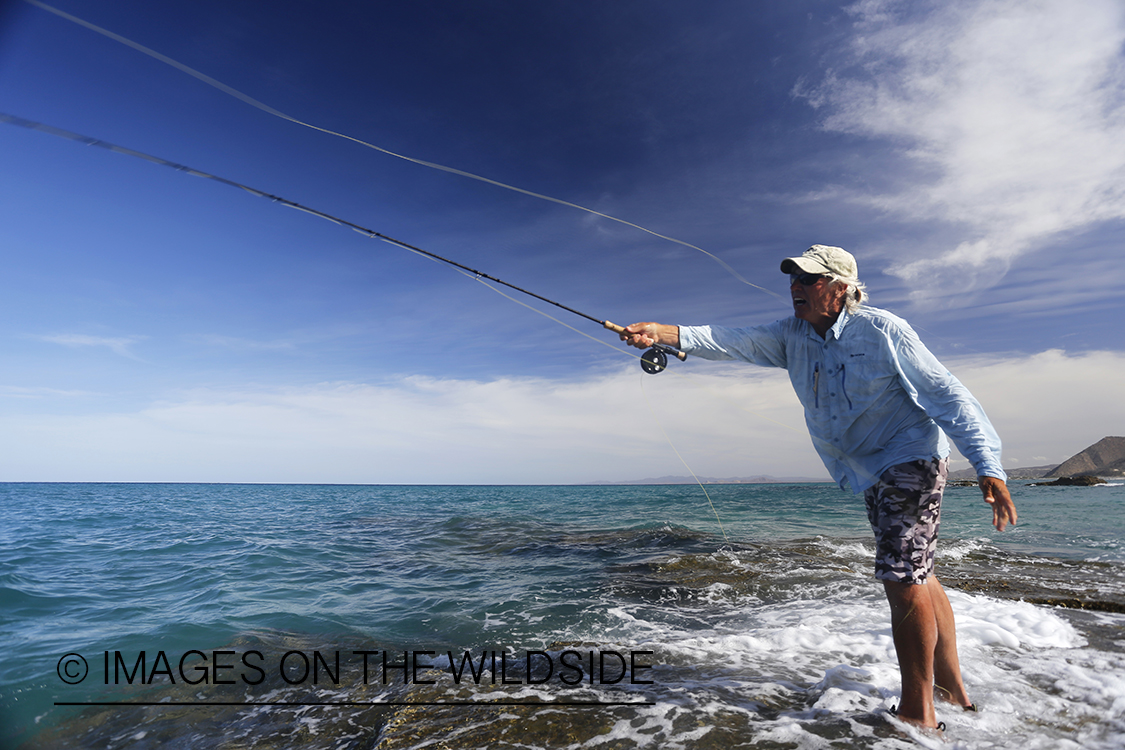 Flyfisherman fishing for roosterfish on beach.