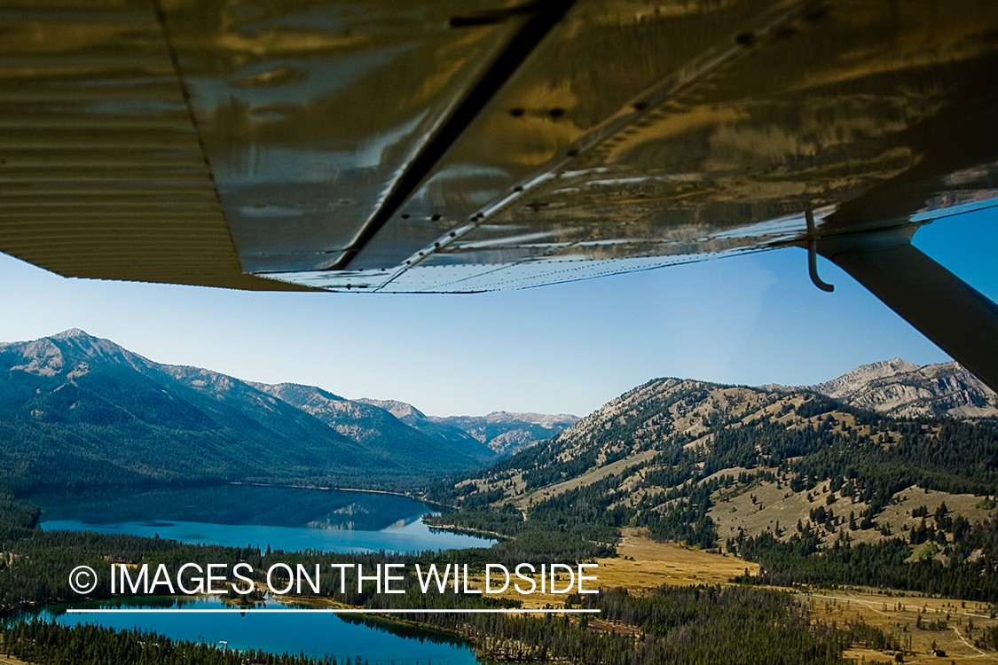 View of lake from float plane. 