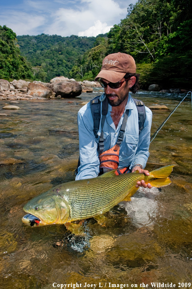 Flyfisherman with Golden Dorado