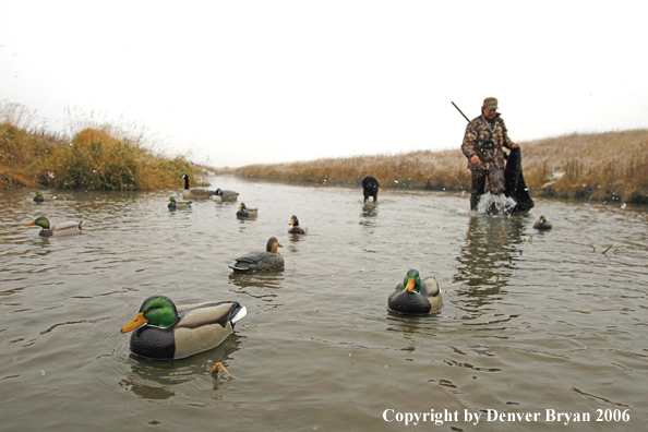 Duck hunting in winter