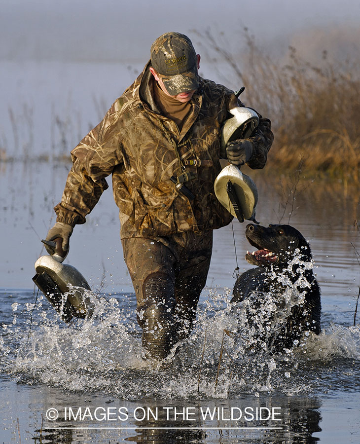 Waterfowl hunter in field with decoys.