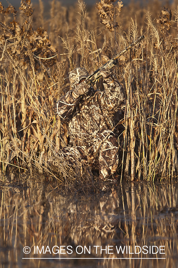 Waterfowl hunter taking aim in wetlands.