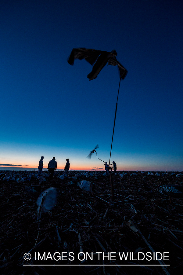 Setting up decoys at dawn. 