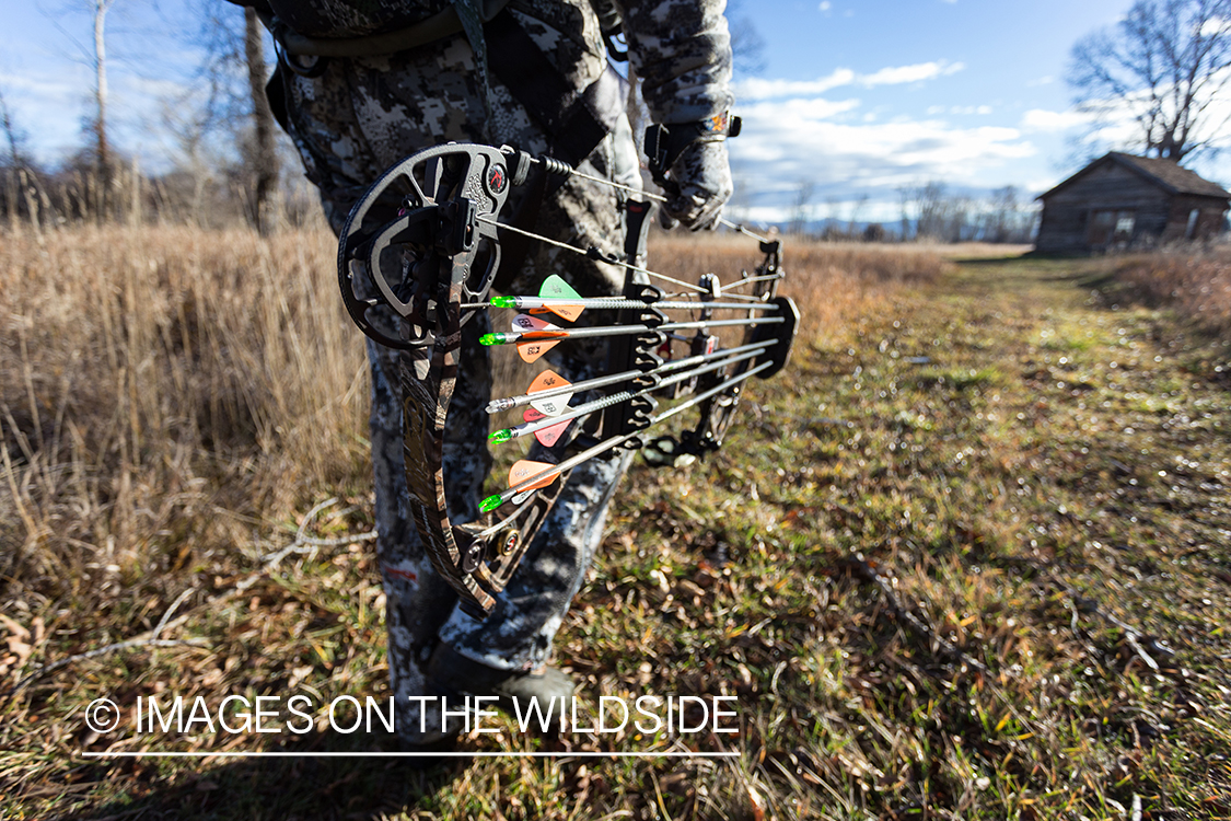 Bow hunter walking in field.