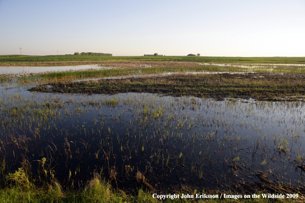 Wetlands on National Wildlife Refuge