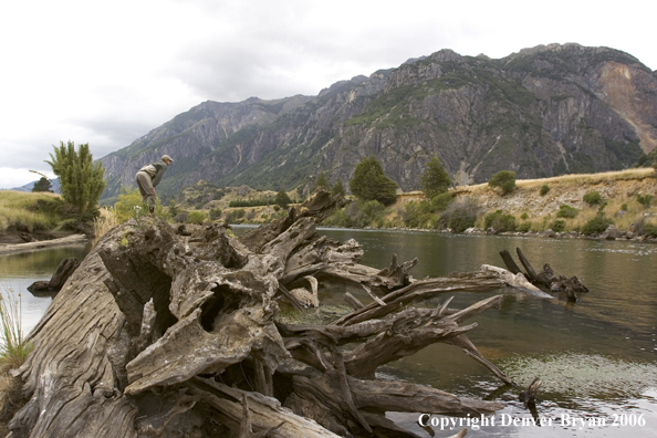 Flyfisherman scouting river from log on bank.