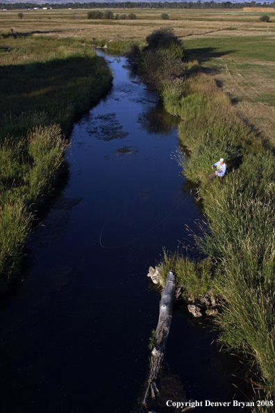 Flyfisherman fishing stream