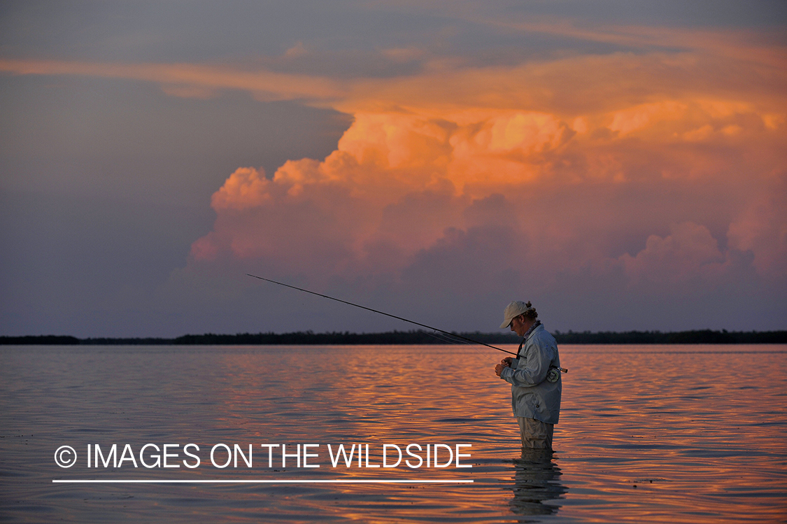 Saltwater flyfisherman casting in flats.