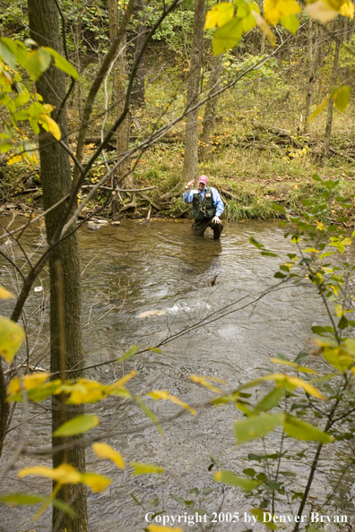 Flyfisherman fighting a trout on a Pennsylvania spring creek.