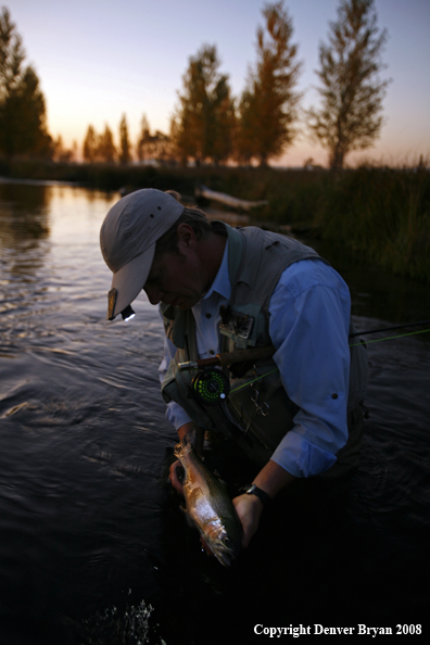 Flyfisherman with Rainbow Trout