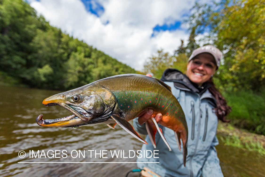 Flyfisher Camille Egdorf with Dolly Varden. Nushagak river, Alaska. 