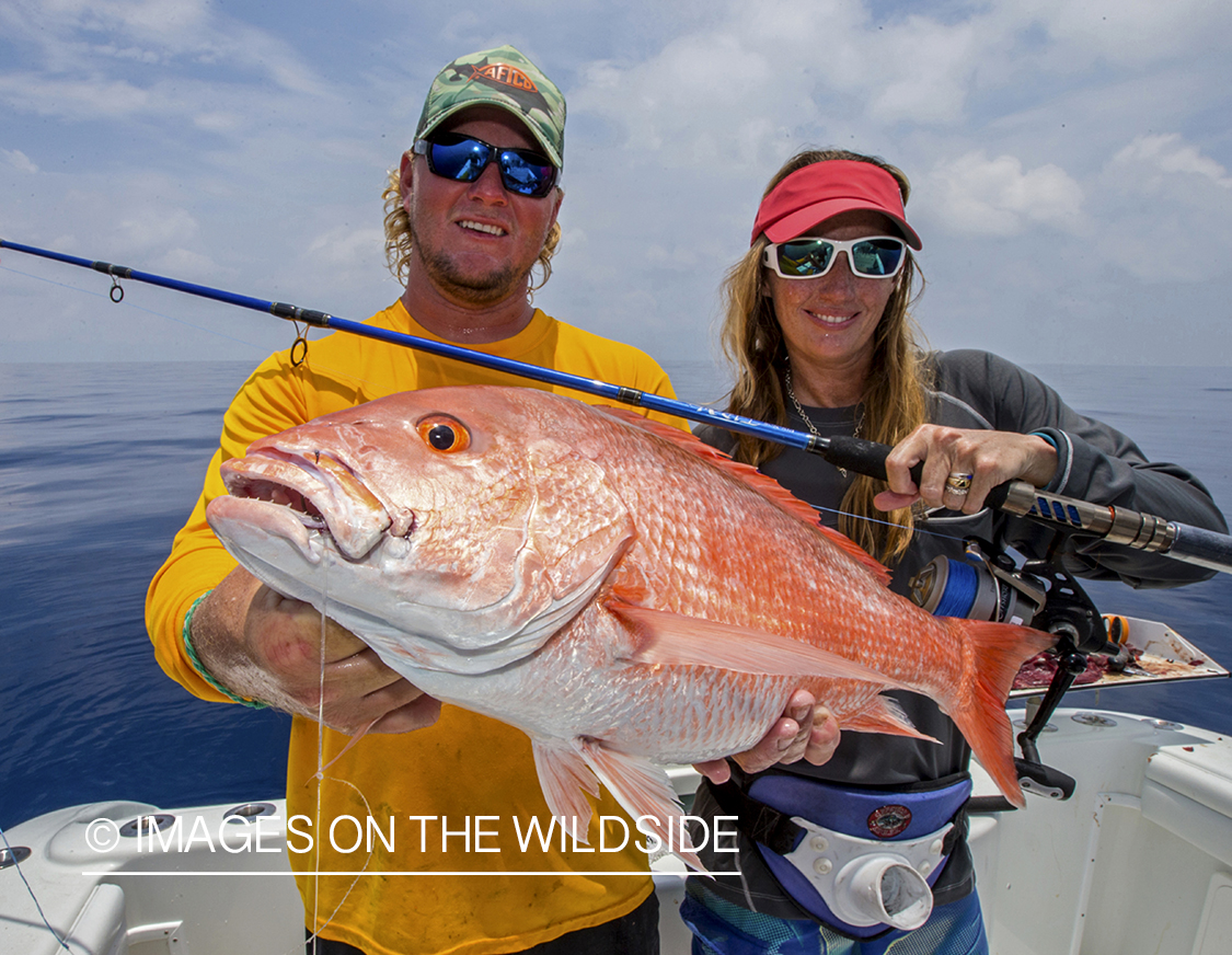 Flyfisherman with Red Snapper.