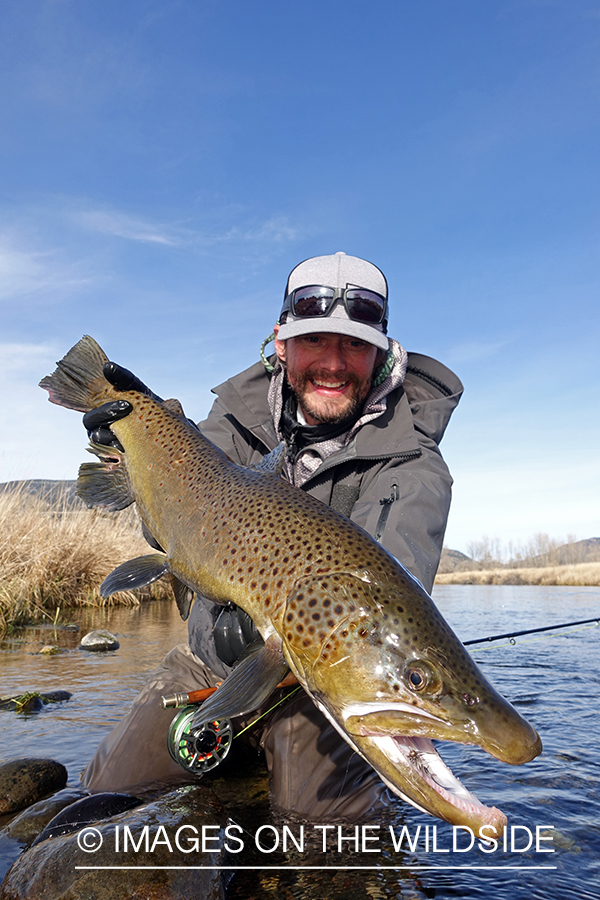 Flyfisherman with brown trout.