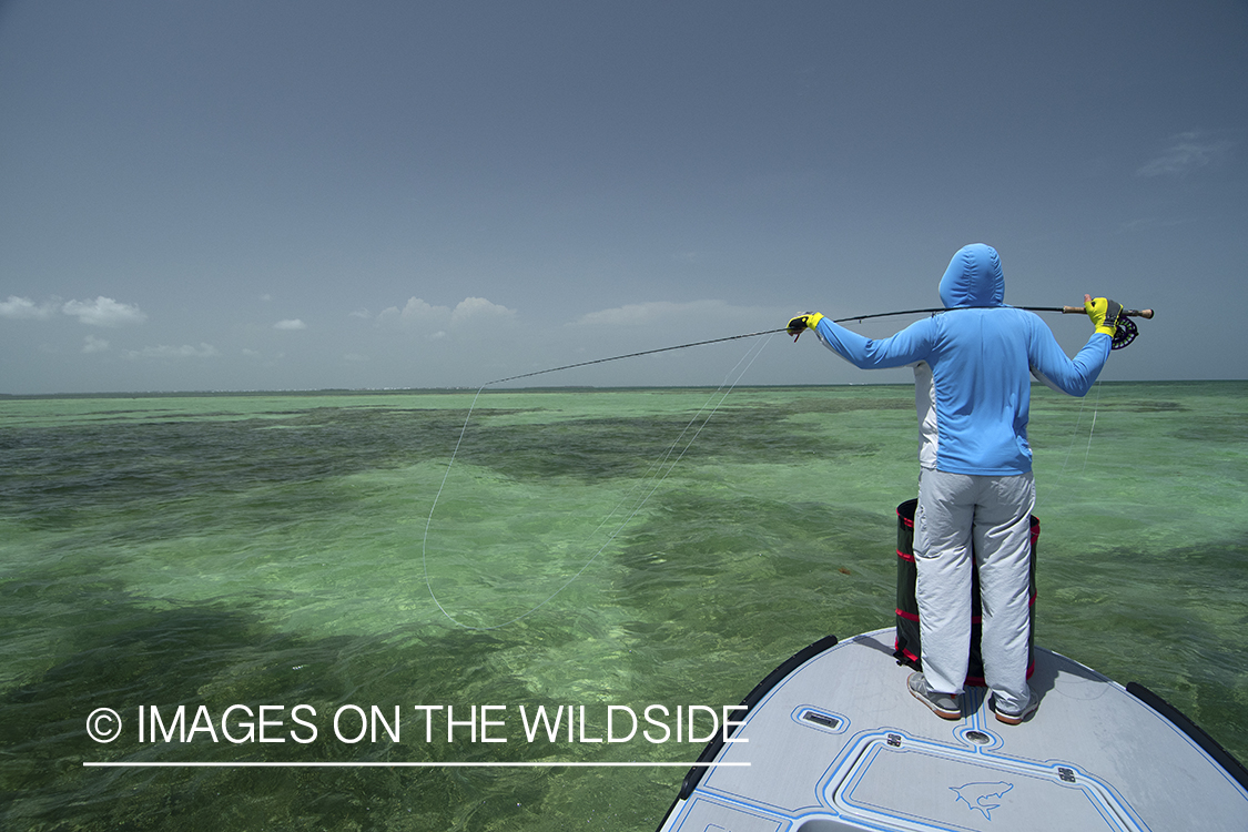 Flyfisherman looking for fish on shallow flat.