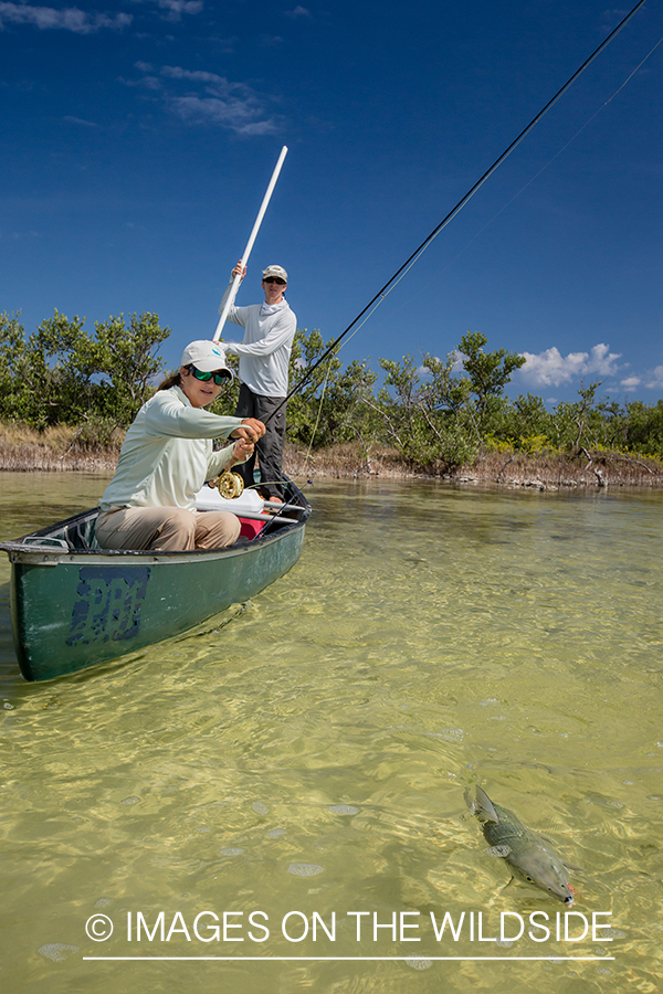 Flyfishing woman fighting fish from boat.