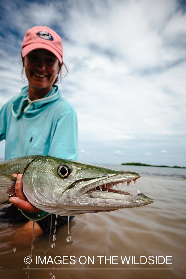 Flyfishing woman releasing barracuda.