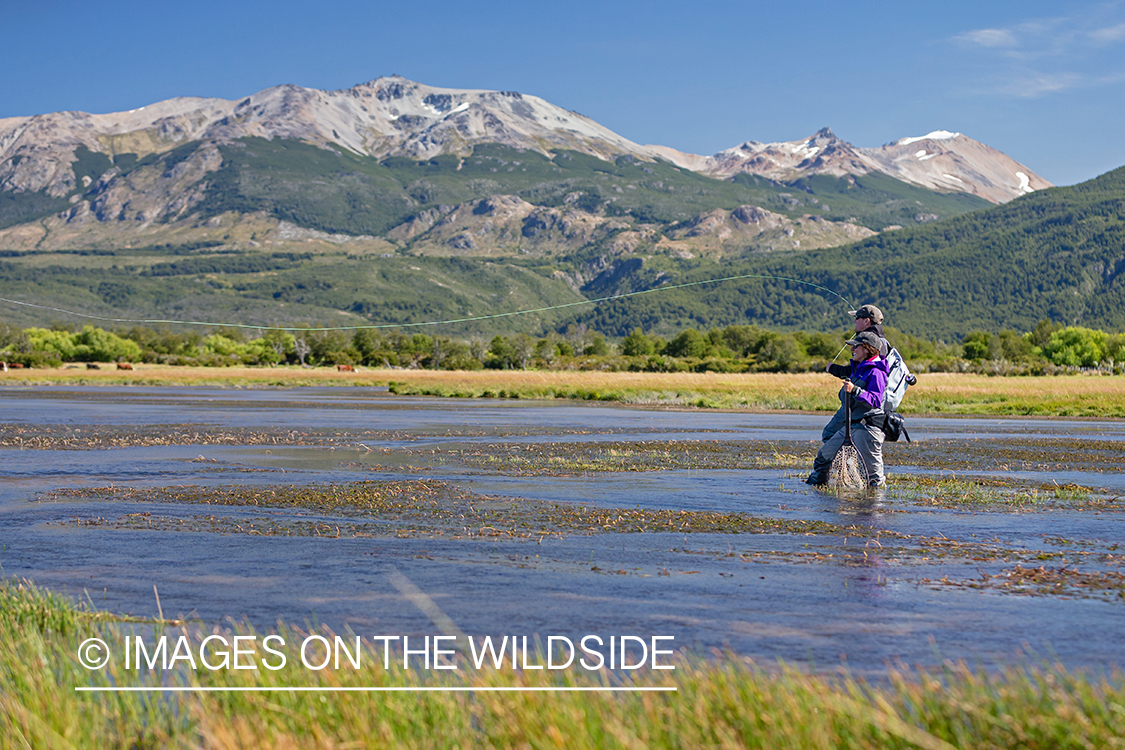 Woman fly fishing guide(Marcela Appelhanz) on stream.