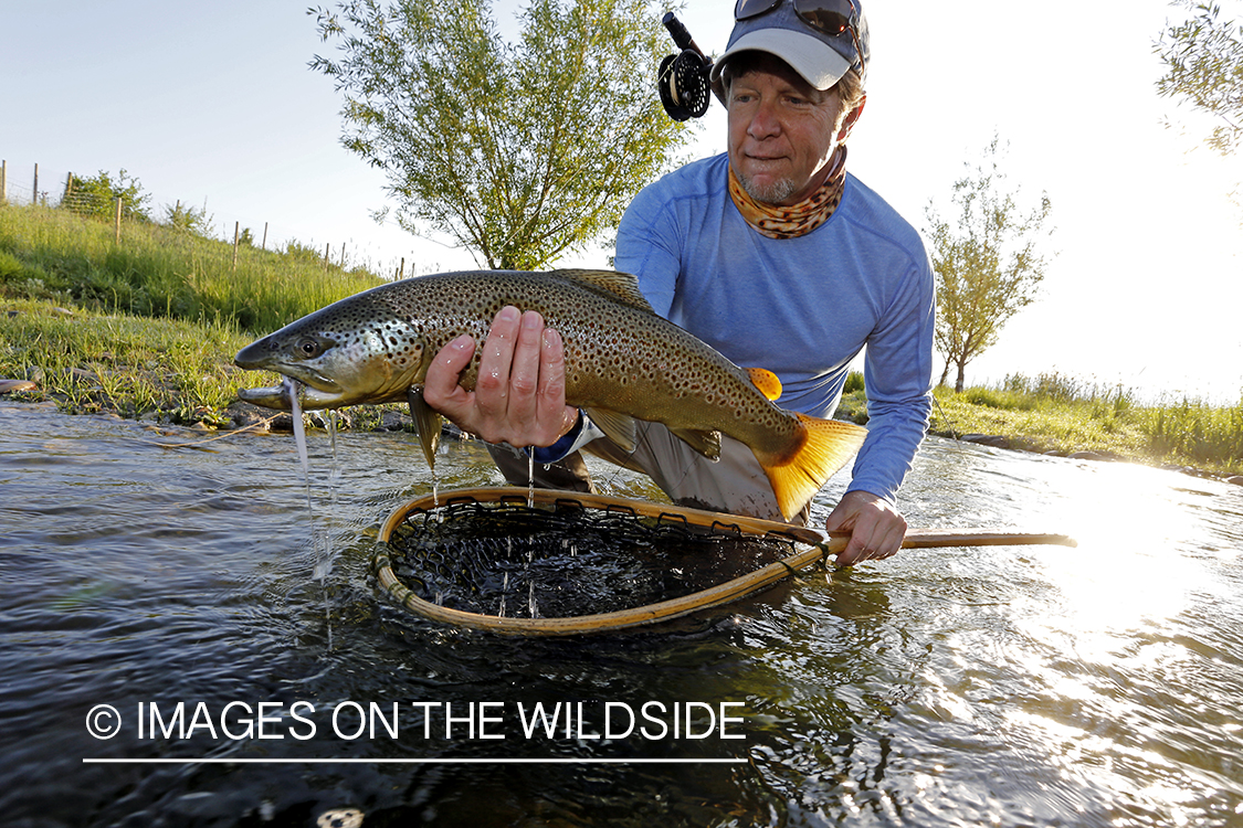 Fisherman with brown trout.