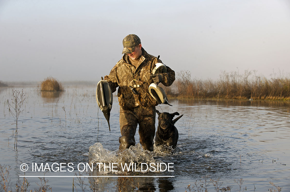 Waterfowl hunter in field with decoys.