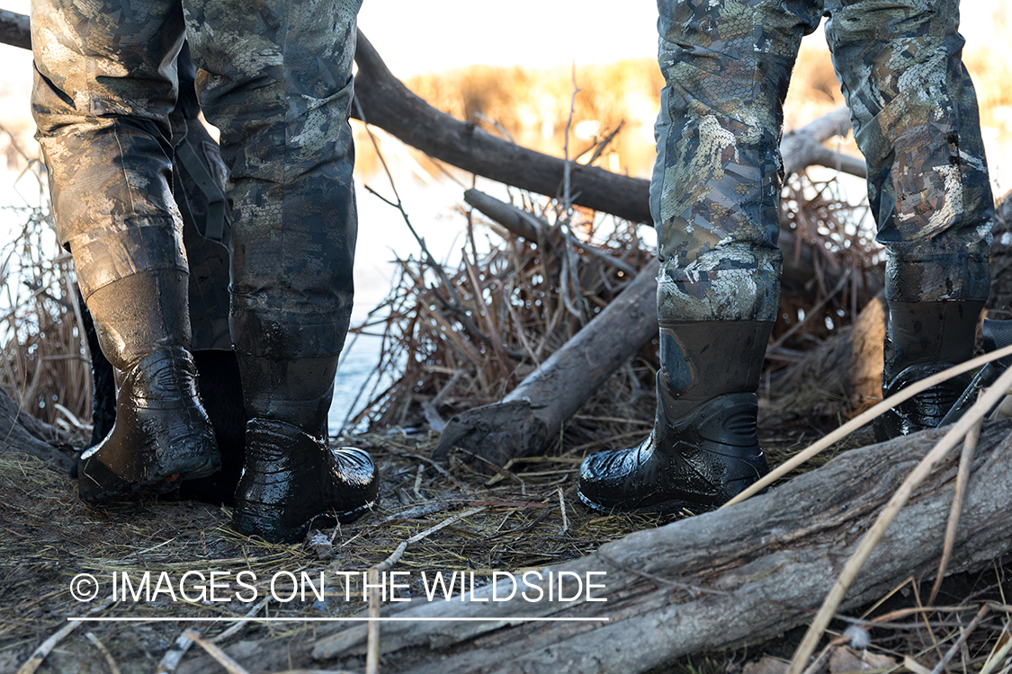 Waterfowl hunting