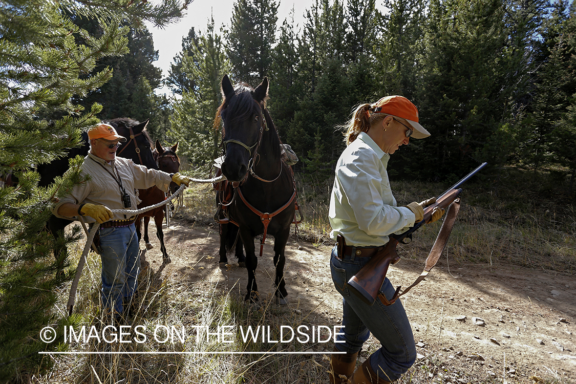 Upland game bird hunters with horses.