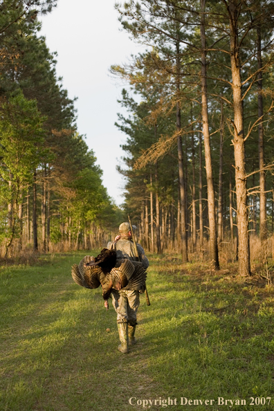 Turkey hunter in field with bagged bird