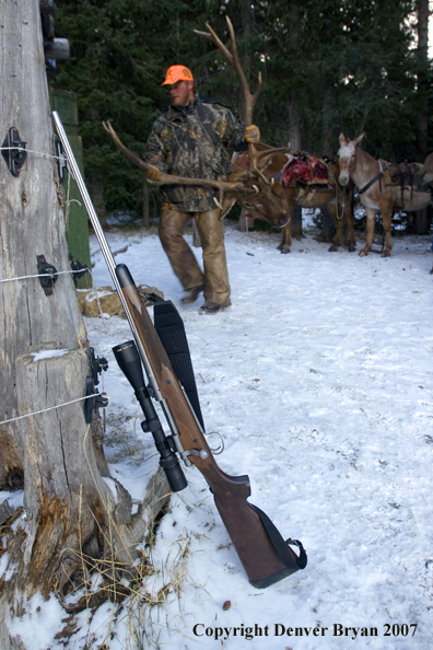 Rifle lain on a tree in elk camp