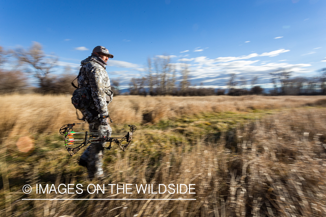 Bow hunter walking in field.