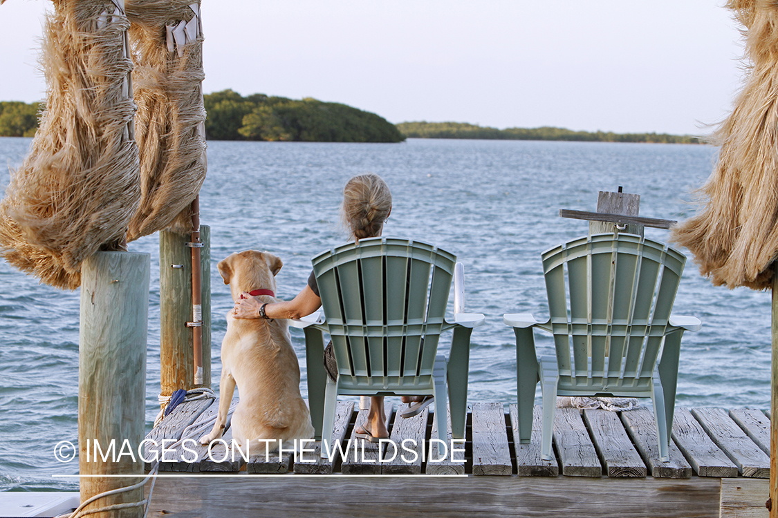 Woman with yellow lab relaxing on dock. 