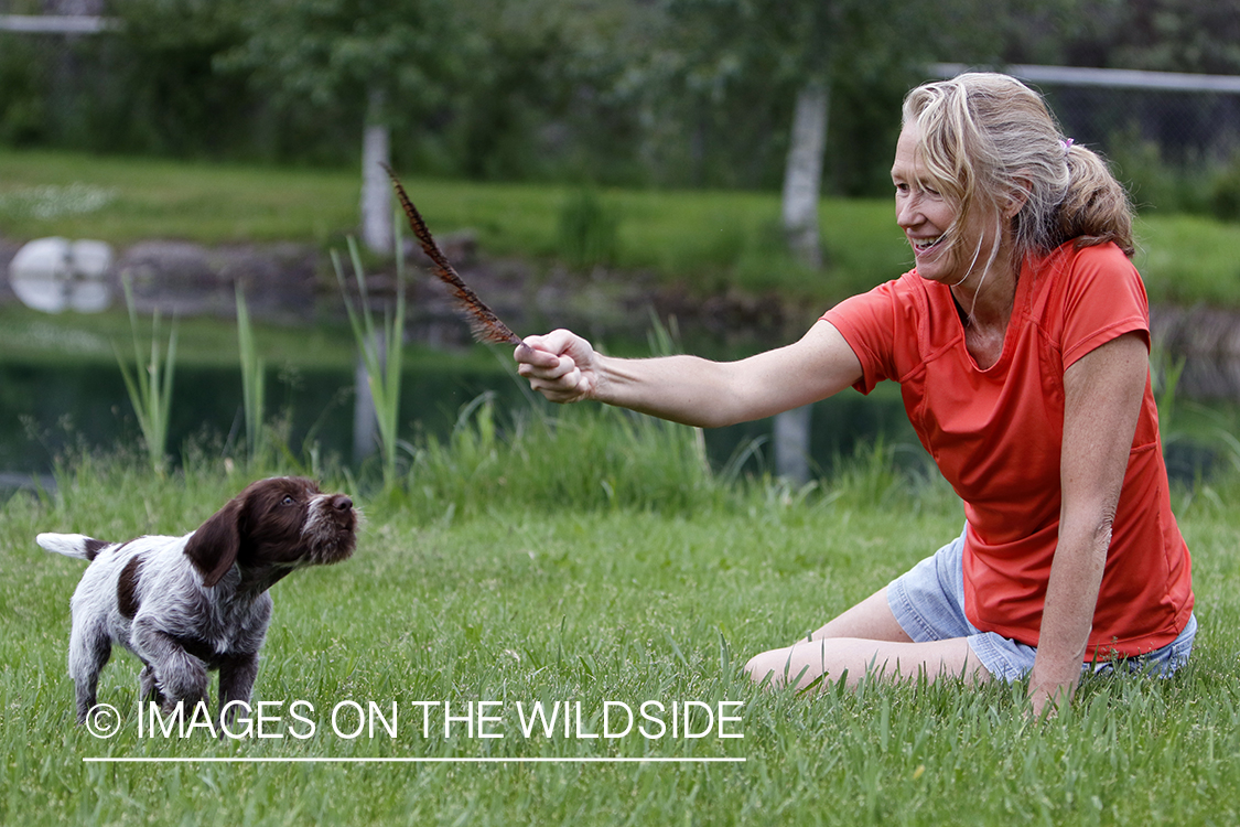 Puppy and owner playing.