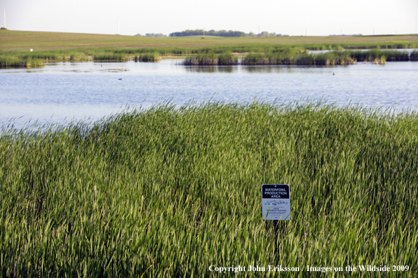 Wetlands on National Wildlife Refuge