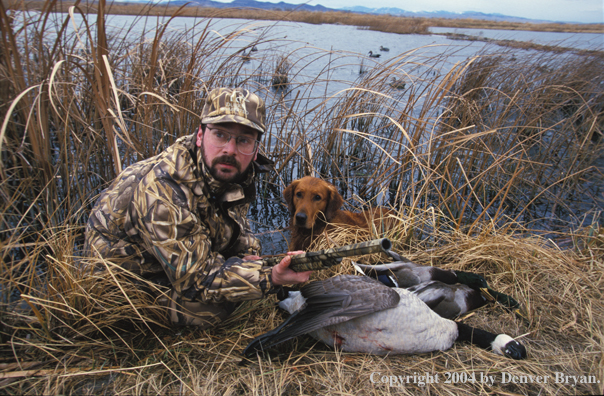 Waterfowl hunter with Golden Retriever and bagged fowl. 