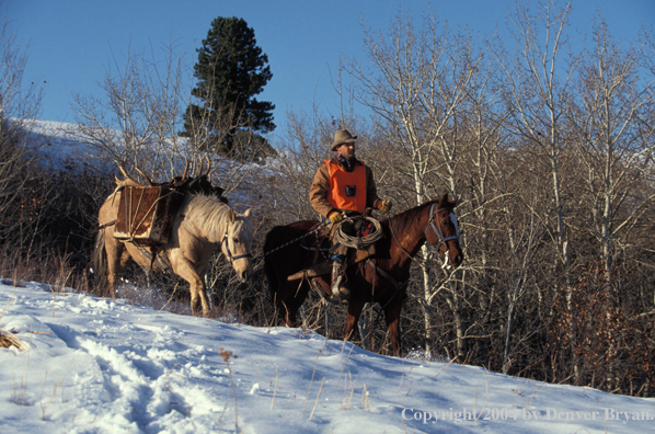 Big game hunter on horseback.