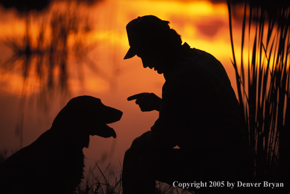 Labrador Retriever with trainer