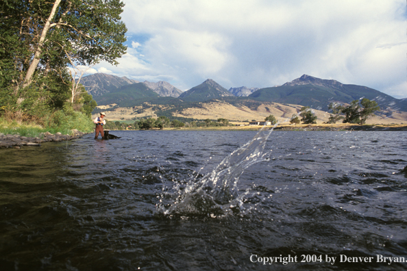 Flyfisherman fighting fish.