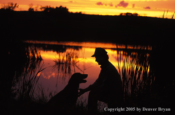 Labrador Retriever with trainer