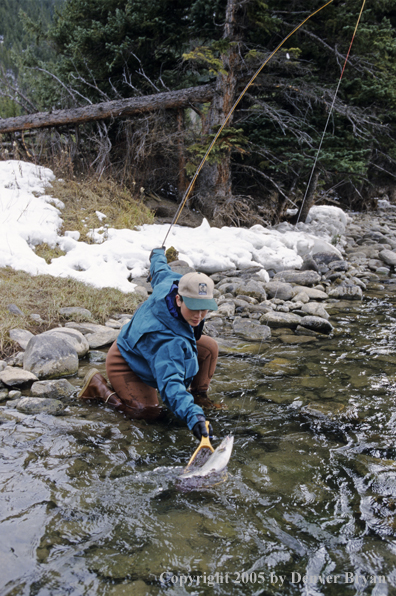 Female flyfisher landing rainbow trout.