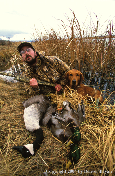 Waterfowl hunter and Golden Retriever with bagged geese and ducks.