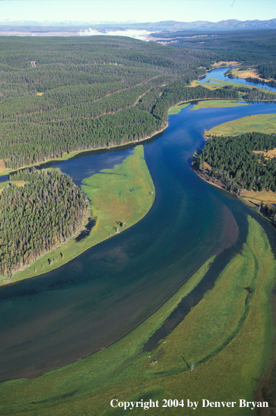 Yellowstone River in Hayden Valley, Yellowstone National Park