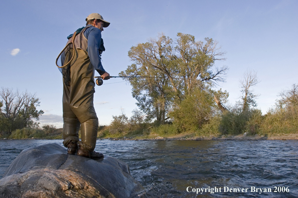 Flyfisherman on the river with waders full of water.  