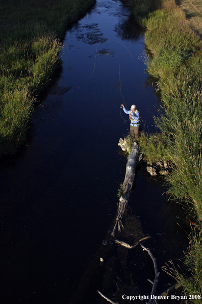 Flyfisherman fishing stream