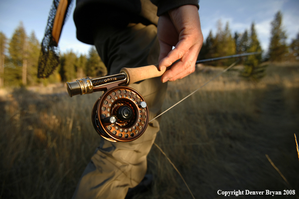 Fly Fishing Reel